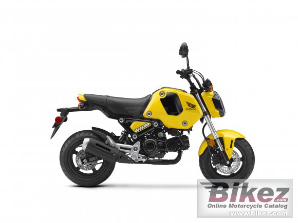 Honda Grom gallery